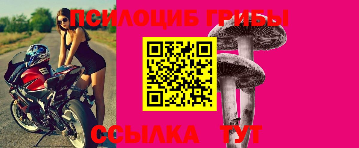 Галлюциногенные грибы Magic Shrooms  Вход с VPN  Севастополь 